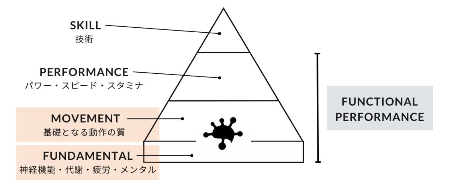 トレーニングピラミッド